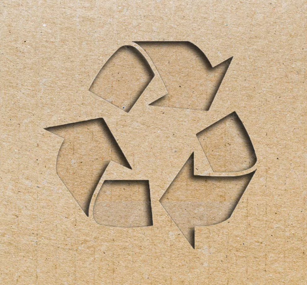 Sustainability and Innovation in Dryce Production Processes